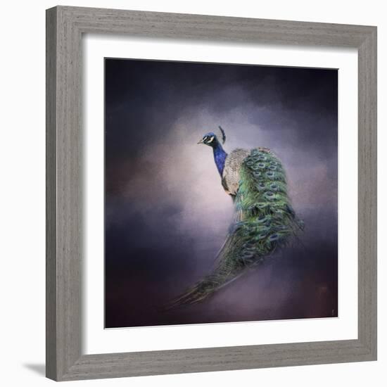 Peacock 11-Jai Johnson-Framed Giclee Print