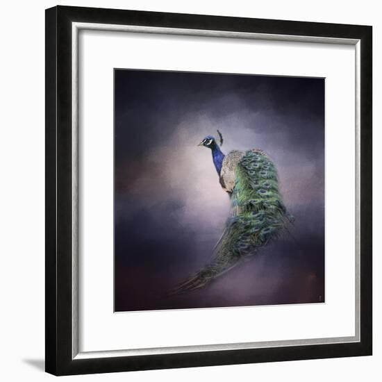 Peacock 11-Jai Johnson-Framed Giclee Print