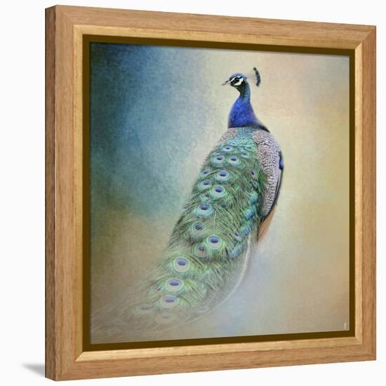Peacock 4-Jai Johnson-Framed Premier Image Canvas