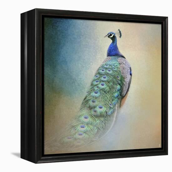 Peacock 4-Jai Johnson-Framed Premier Image Canvas