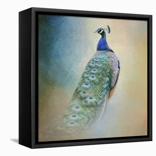 Peacock 4-Jai Johnson-Framed Premier Image Canvas