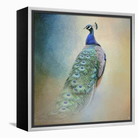 Peacock 4-Jai Johnson-Framed Premier Image Canvas