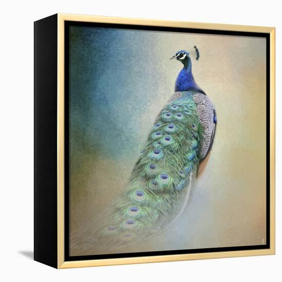 Peacock 4-Jai Johnson-Framed Premier Image Canvas