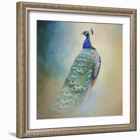 Peacock 4-Jai Johnson-Framed Giclee Print