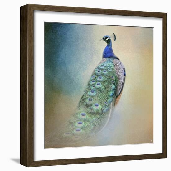 Peacock 4-Jai Johnson-Framed Giclee Print