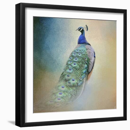 Peacock 4-Jai Johnson-Framed Giclee Print