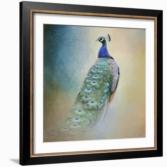 Peacock 4-Jai Johnson-Framed Giclee Print