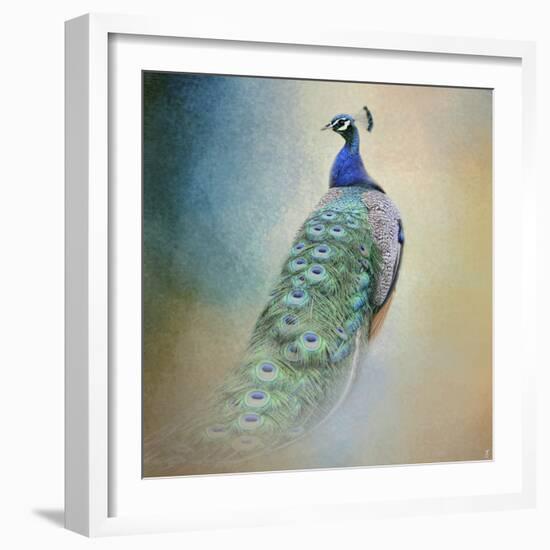 Peacock 4-Jai Johnson-Framed Giclee Print