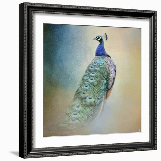 Peacock 4-Jai Johnson-Framed Giclee Print