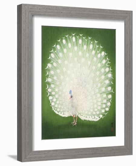 Peacock 50X70-Ohara Koson-Framed Photographic Print