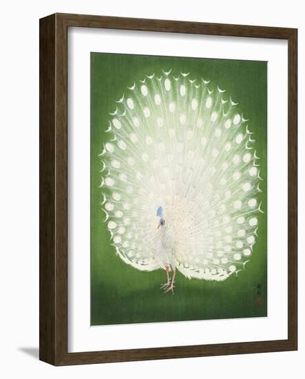 Peacock 50X70-Ohara Koson-Framed Photographic Print