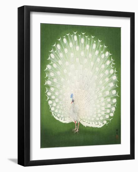 Peacock 50X70-Ohara Koson-Framed Photographic Print