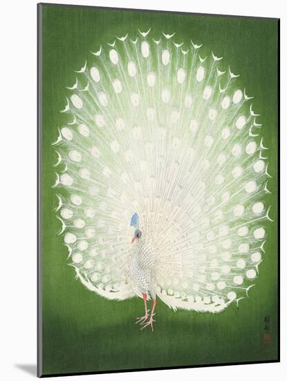 Peacock 50X70-Ohara Koson-Mounted Photographic Print