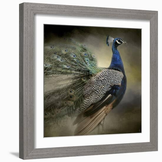 Peacock 5-Jai Johnson-Framed Giclee Print