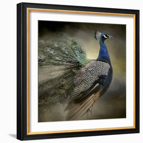 Peacock 5-Jai Johnson-Framed Giclee Print