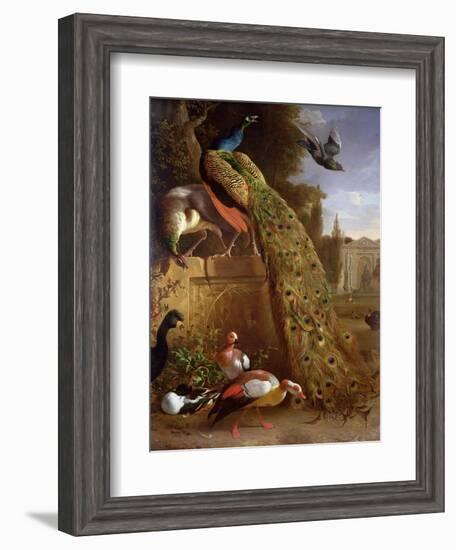 Peacock and a Peahen on a Plinth, with Ducks and Other Birds in a Park-Melchior de Hondecoeter-Framed Giclee Print