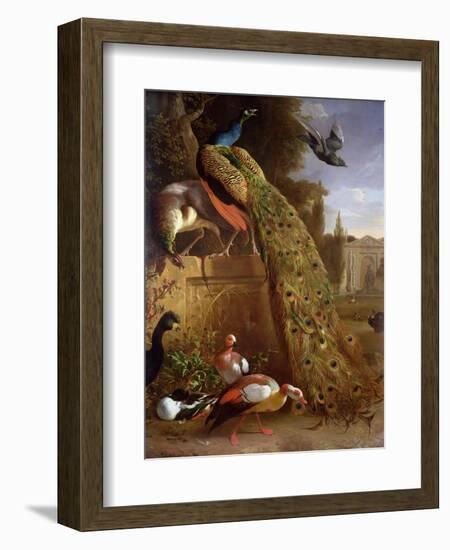 Peacock and a Peahen on a Plinth, with Ducks and Other Birds in a Park-Melchior de Hondecoeter-Framed Giclee Print