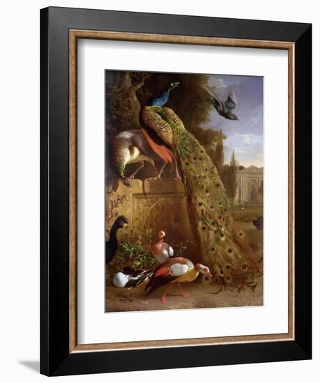 Peacock and a Peahen on a Plinth, with Ducks and Other Birds in a Park-Melchior de Hondecoeter-Framed Giclee Print