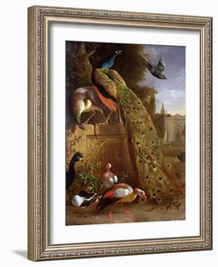 Peacock and a Peahen on a Plinth, with Ducks and Other Birds in a Park-Melchior de Hondecoeter-Framed Giclee Print