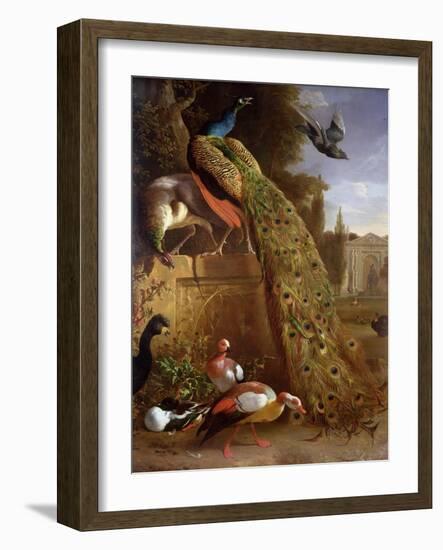 Peacock and a Peahen on a Plinth, with Ducks and Other Birds in a Park-Melchior de Hondecoeter-Framed Giclee Print