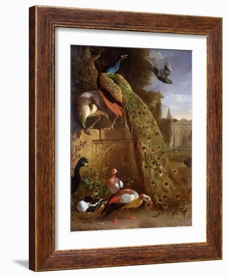 Peacock and a Peahen on a Plinth, with Ducks and Other Birds in a Park-Melchior de Hondecoeter-Framed Giclee Print