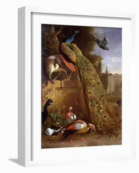 Peacock and a Peahen on a Plinth, with Ducks and Other Birds in a Park-Melchior de Hondecoeter-Framed Giclee Print