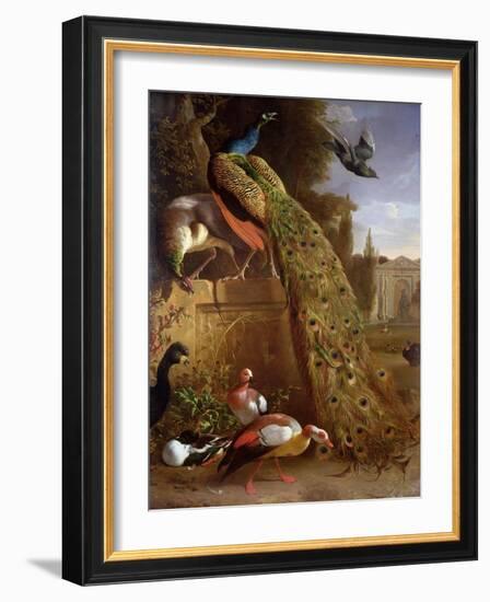 Peacock and a Peahen on a Plinth, with Ducks and Other Birds in a Park-Melchior de Hondecoeter-Framed Giclee Print