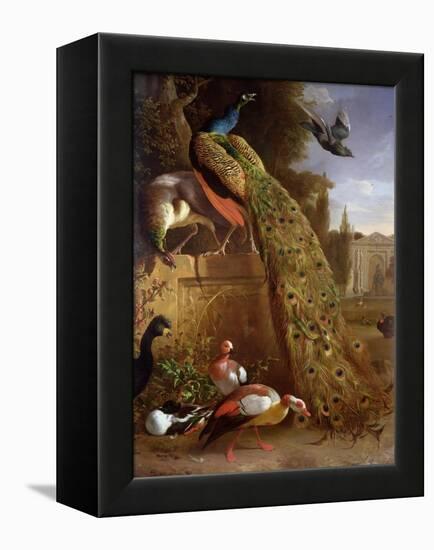 Peacock and a Peahen on a Plinth, with Ducks and Other Birds in a Park-Melchior de Hondecoeter-Framed Premier Image Canvas