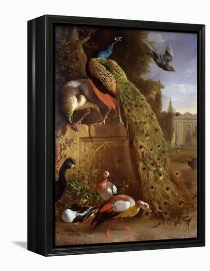 Peacock and a Peahen on a Plinth, with Ducks and Other Birds in a Park-Melchior de Hondecoeter-Framed Premier Image Canvas