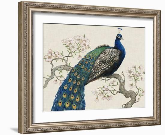 Peacock and Blossoms I-Tim O'toole-Framed Art Print