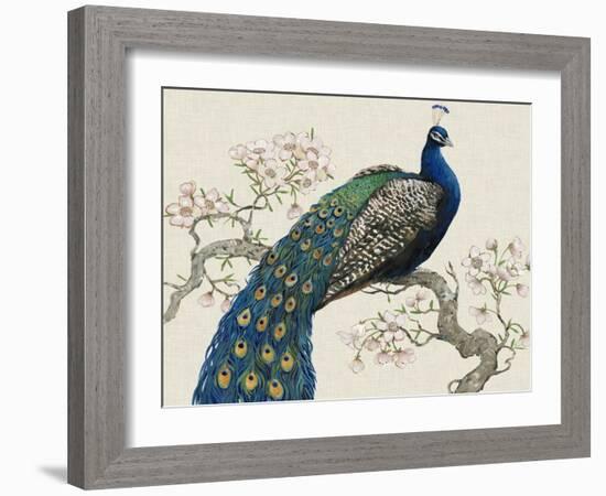 Peacock and Blossoms I-Tim O'toole-Framed Art Print