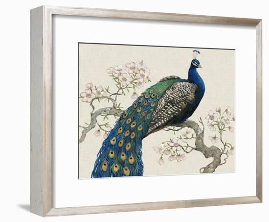 Peacock and Blossoms I-Tim O'toole-Framed Art Print