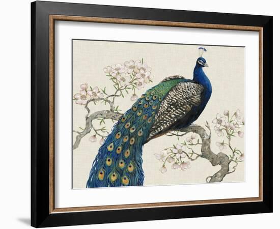 Peacock and Blossoms I-Tim O'toole-Framed Art Print