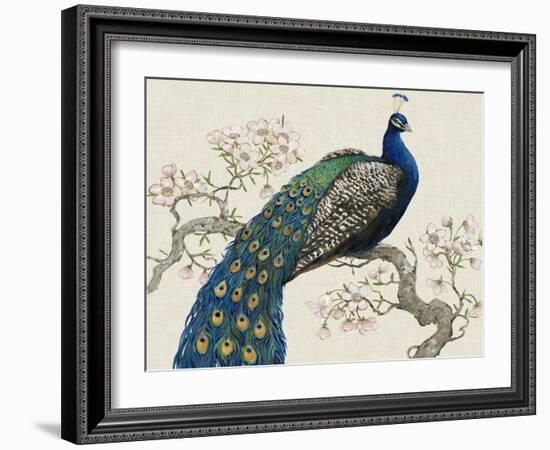 Peacock and Blossoms I-Tim O'toole-Framed Art Print