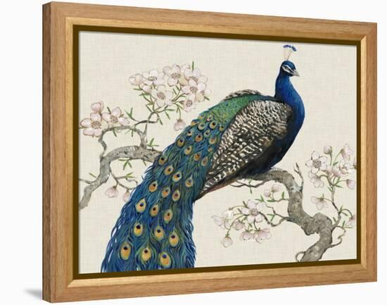 Peacock and Blossoms I-Tim O'toole-Framed Stretched Canvas