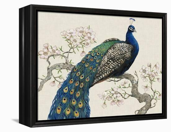 Peacock and Blossoms I-Tim O'toole-Framed Stretched Canvas