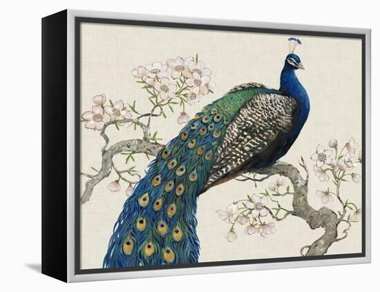 Peacock and Blossoms I-Tim O'toole-Framed Stretched Canvas