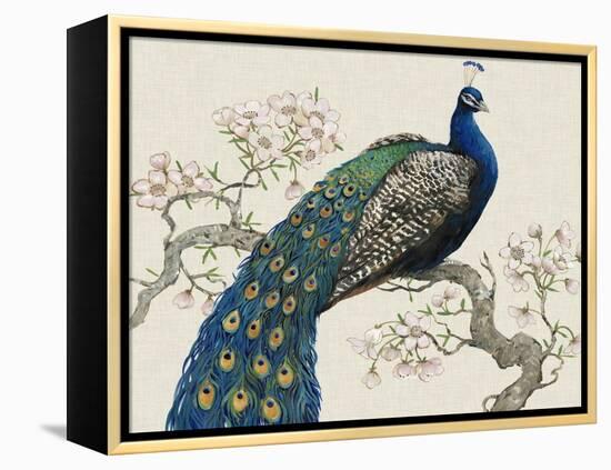 Peacock and Blossoms I-Tim O'toole-Framed Stretched Canvas