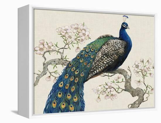 Peacock and Blossoms I-Tim O'toole-Framed Stretched Canvas