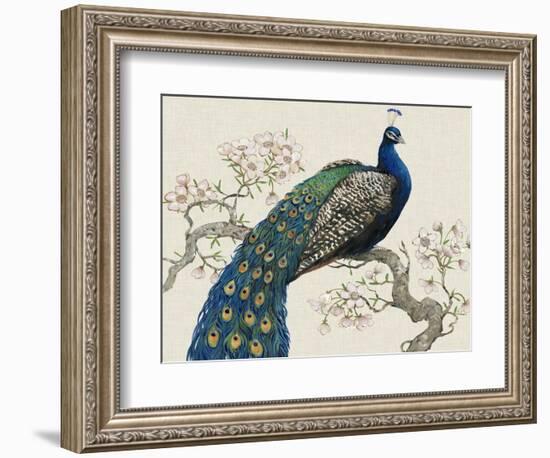 Peacock and Blossoms I-Tim O'toole-Framed Premium Giclee Print