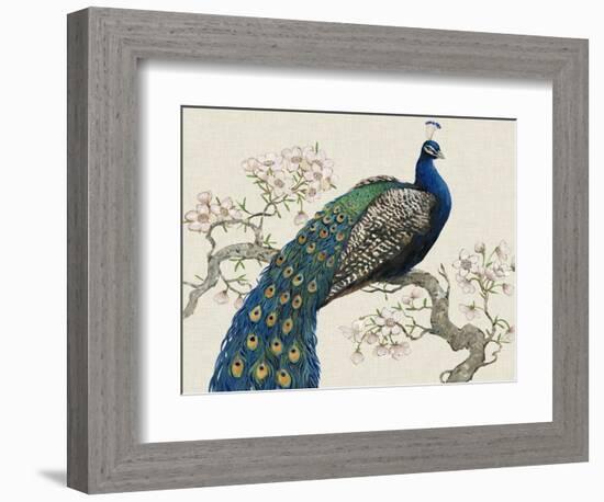 Peacock and Blossoms I-Tim O'toole-Framed Premium Giclee Print