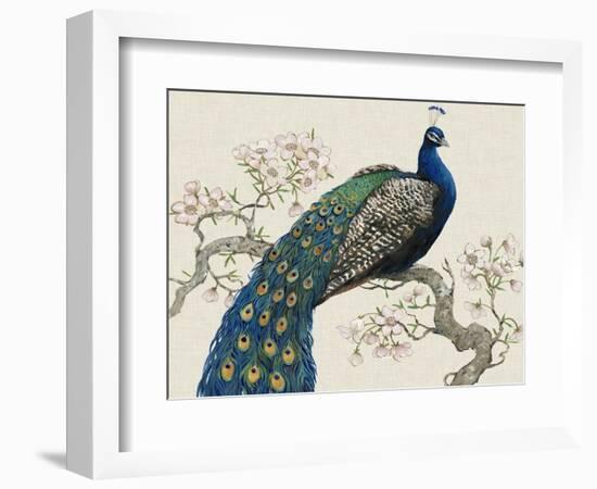 Peacock and Blossoms I-Tim O'toole-Framed Premium Giclee Print