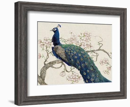 Peacock and Blossoms II-Tim O'toole-Framed Art Print