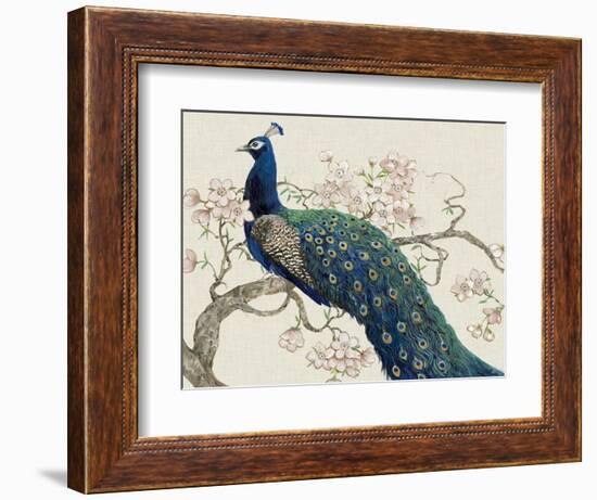 Peacock and Blossoms II-Tim O'toole-Framed Art Print