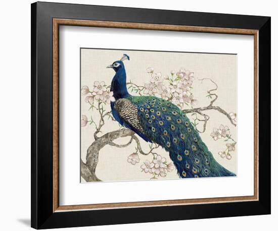 Peacock and Blossoms II-Tim O'toole-Framed Art Print