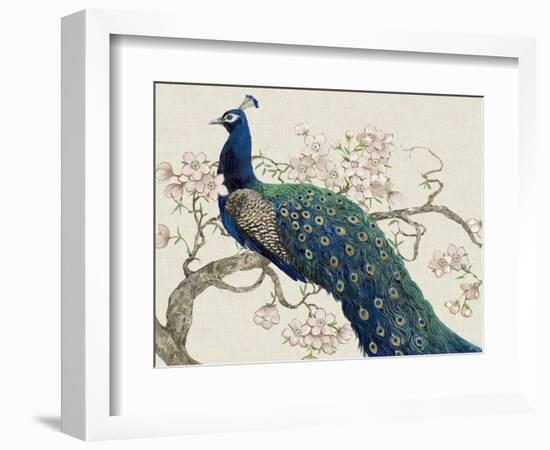 Peacock and Blossoms II-Tim O'toole-Framed Art Print