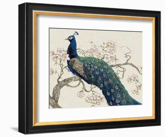 Peacock and Blossoms II-Tim O'toole-Framed Art Print