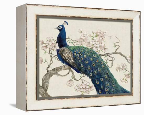 Peacock and Blossoms II-Tim O'toole-Framed Stretched Canvas