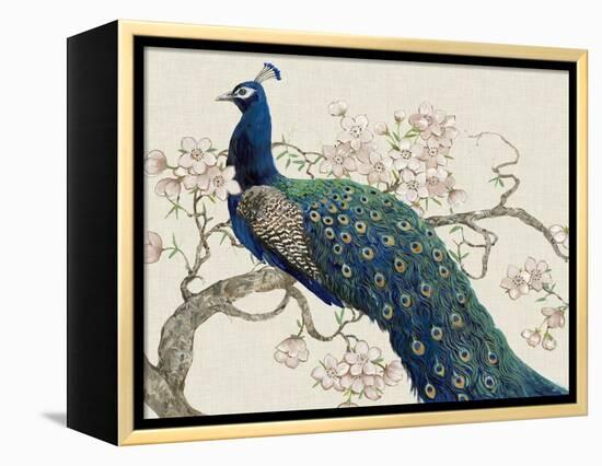 Peacock and Blossoms II-Tim O'toole-Framed Stretched Canvas