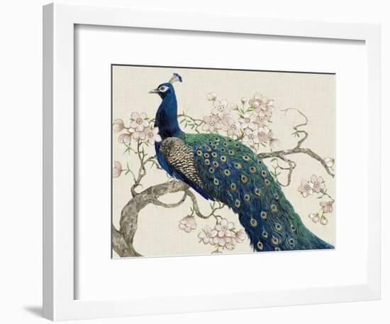 Peacock and Blossoms II-Tim O'toole-Framed Art Print